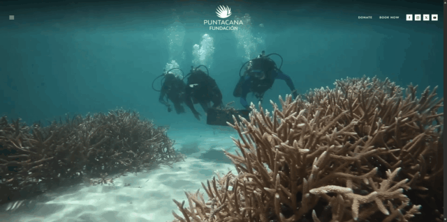 Fundación Puntacana